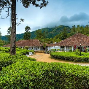Zostel Plus Wayanad